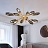 Подвесная люстра Hammerton Aalto Oval Starbust Chandelier фото 7